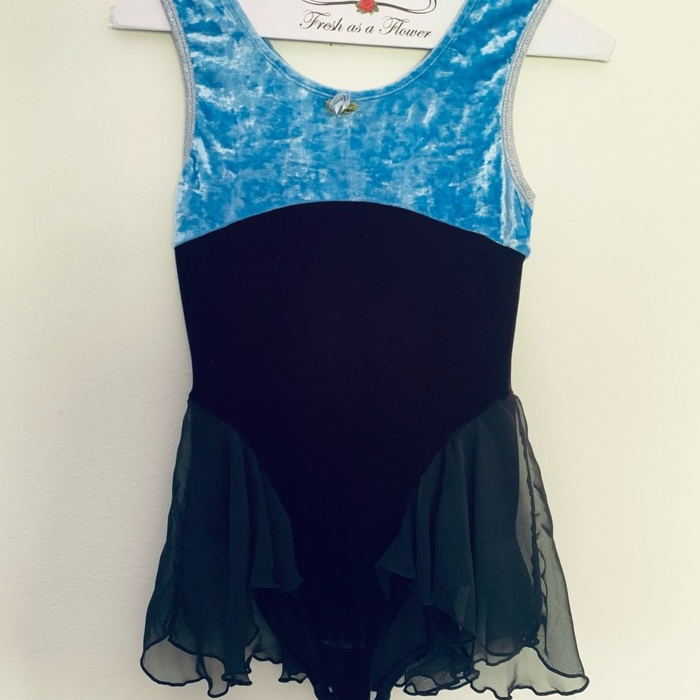 Blue Velvet Figure Skating / Dance Leotard Dress